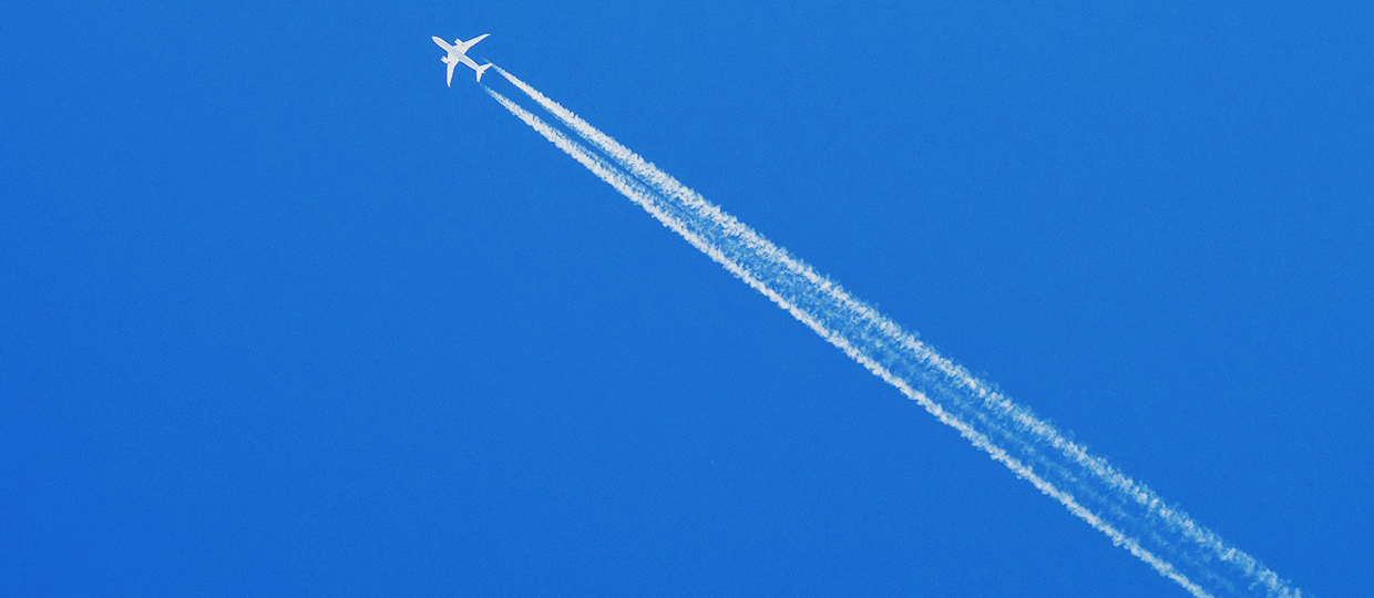 プロフィール|Profile